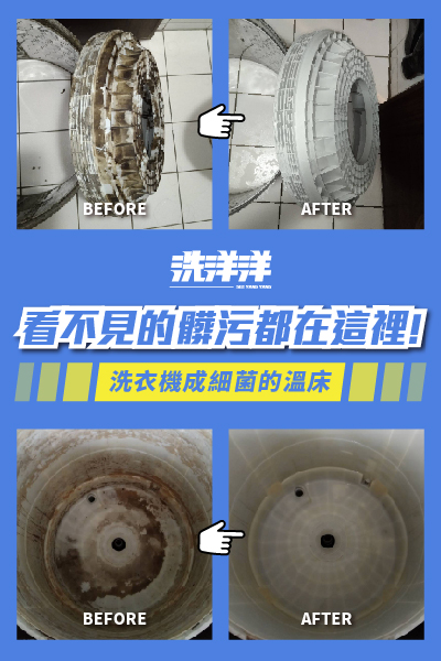 2021.11 洗洋洋官網文章圖 04