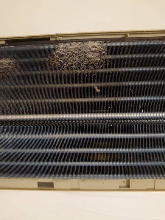 永和洗冷氣可以讓冷氣更乾淨，寵物毛髮和皮屑很容易通過空氣流動進入空調系統，寵物的毛髮和皮屑很容易飄散到空氣中，進而被冷氣機吸入並積聚在內部。