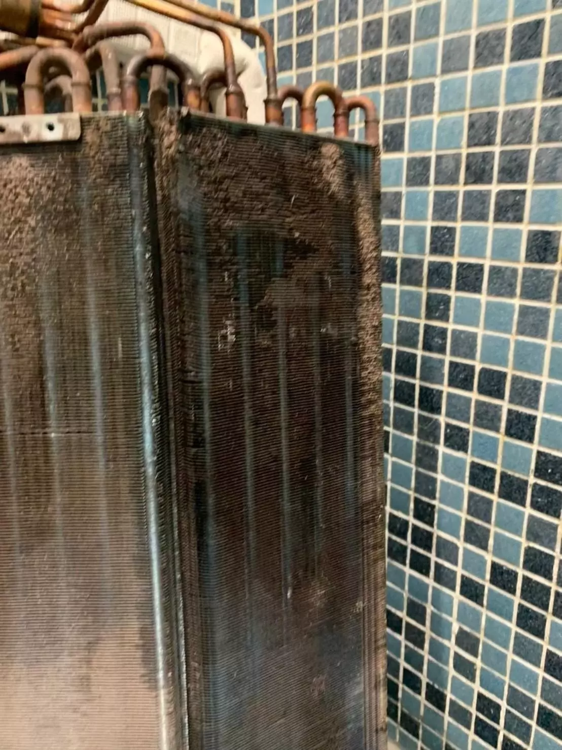 大致展示冷氣內部結構，長期使用後容易累積灰塵與霉斑，為進行冷氣清潔前的實際狀態。