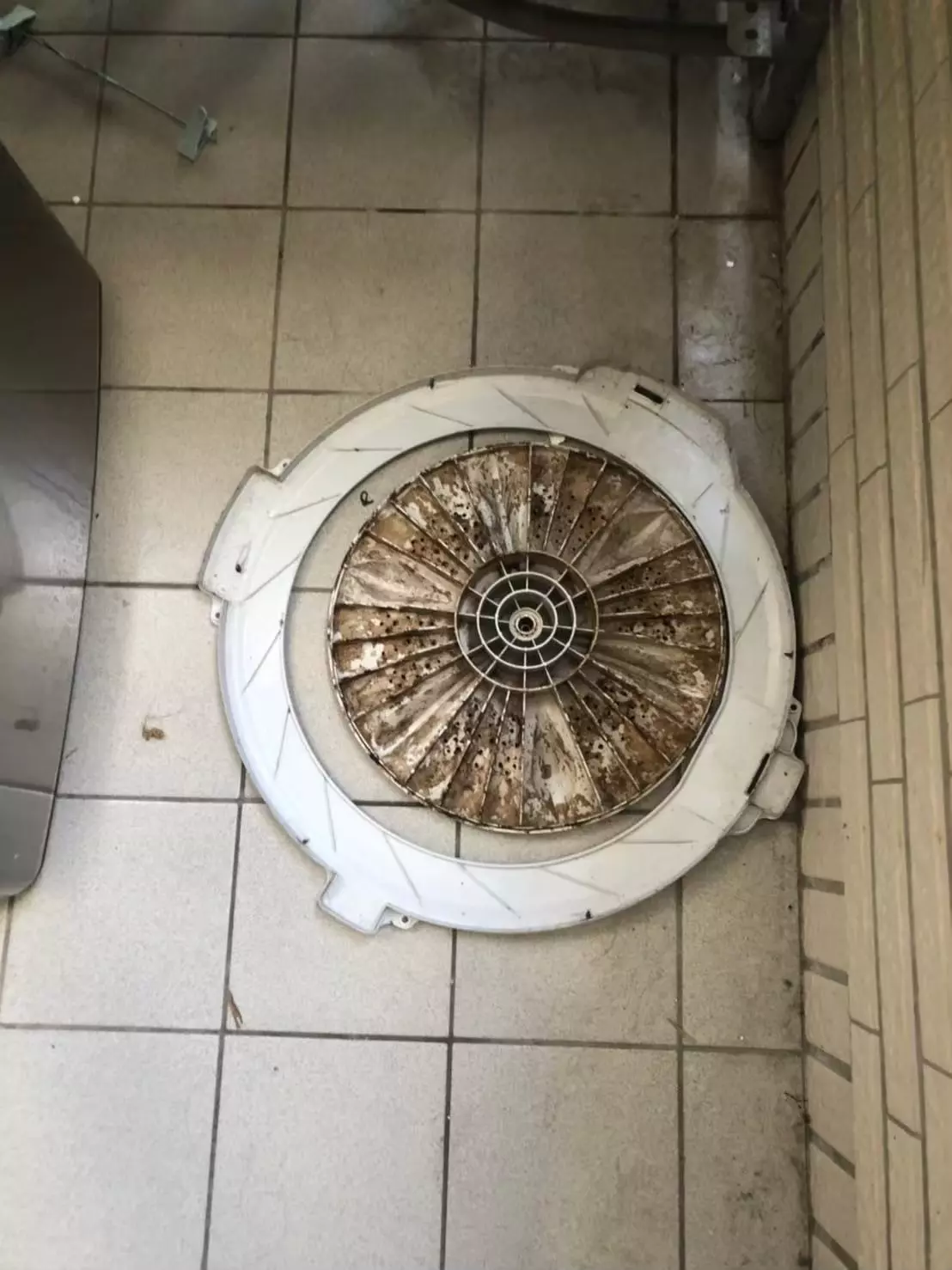 槽洗淨功能要加什麼？想要徹底清潔洗衣機卻不知道該如何開始，本文將告訴大家槽洗淨功能要加什麼清潔劑，才能讓洗衣機頑強的汙垢徹底清除，最詳細教學與推薦就看這篇！