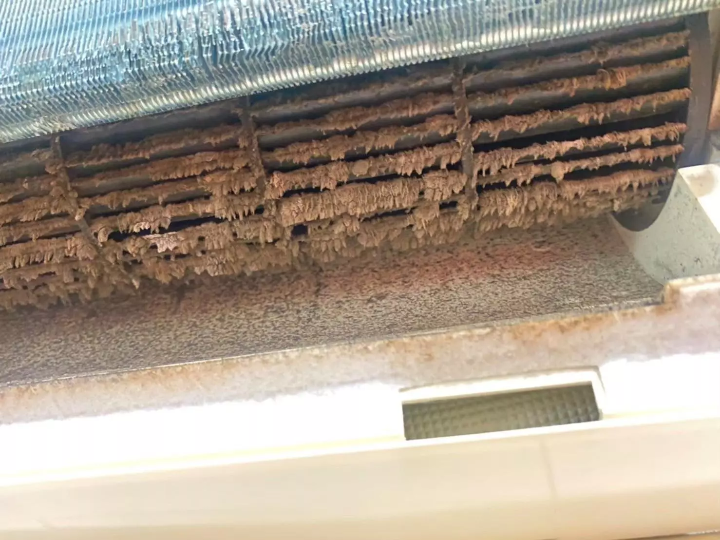 冷氣清洗是一項專業性較強的任務,並不是每位師傅都能提供高品質的服務。如果你正在尋找合適的冷氣清洗師傅,掌握一些挑選冷氣清洗師傅的技巧非常重要。