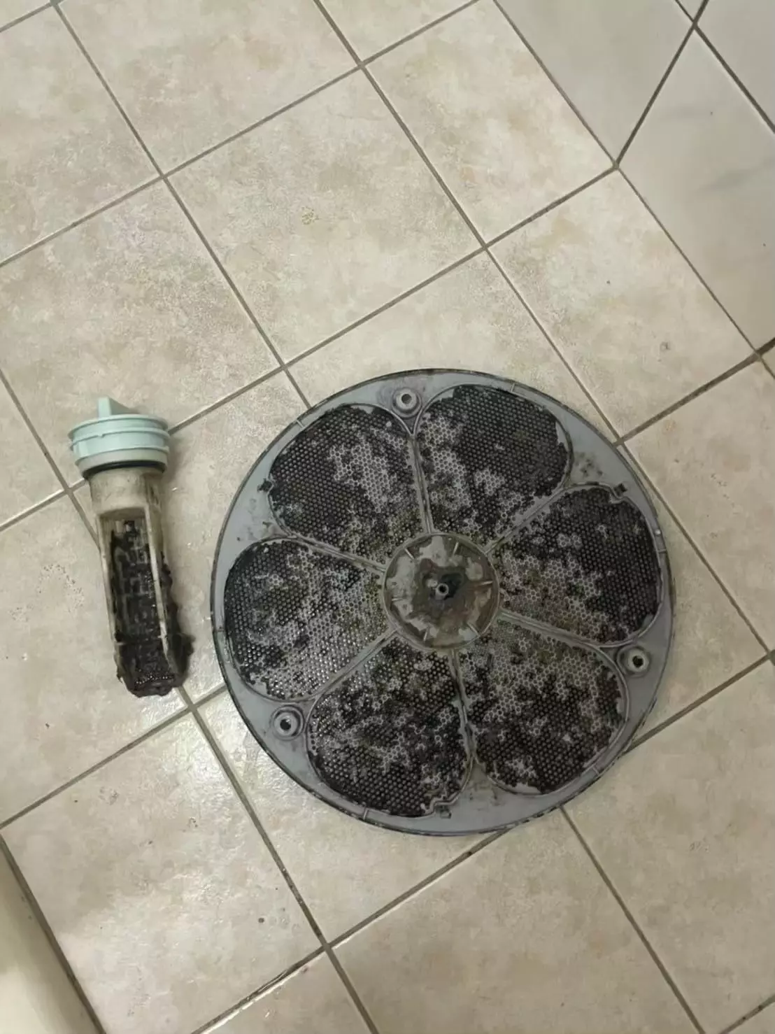 這些污垢可能來自於洗衣粉殘留、衣物纖維、油脂等，造成內部設備的磨損或者洗衣效果不佳。因此，專業洗衣機清洗服務需要用到特殊的清潔劑和工具來確保徹底清潔，這也大大提高了成本。