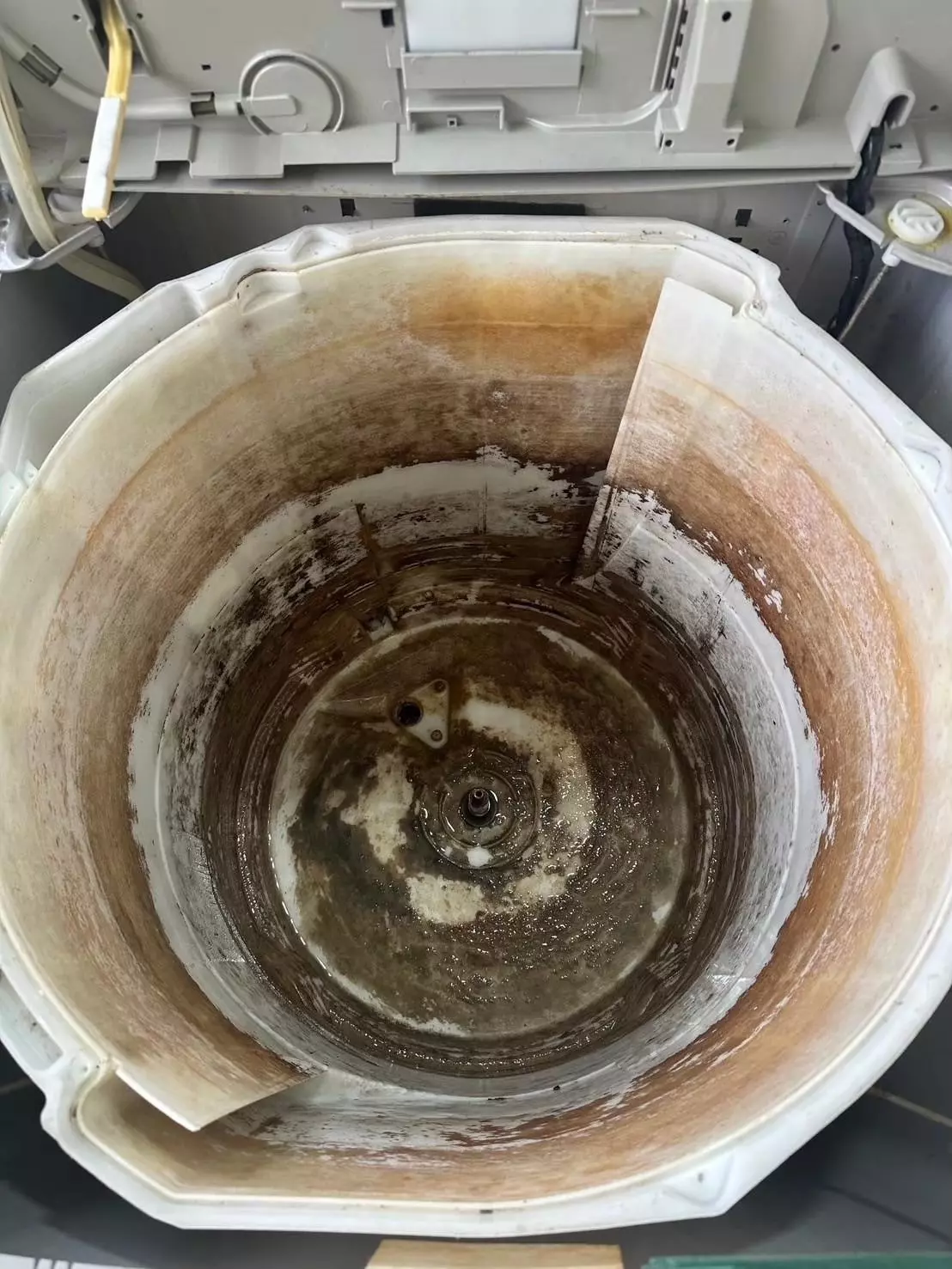 洗洋洋的服務為例，現在只需1299元便可完成一次專業的清潔服務，包括內筒、外筒和排水管的徹底清潔。整體服務時間通常約為1至1.5小時，是家庭常見的經濟實惠選擇。