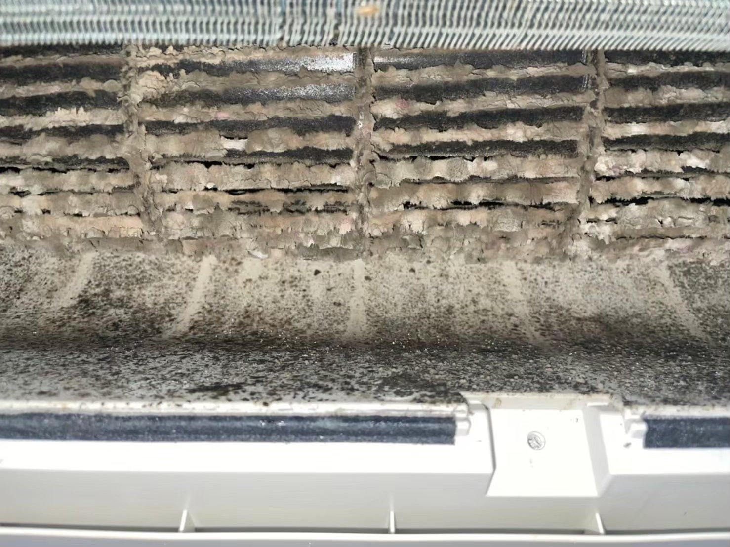 冷氣如果一直使用而沒有清洗，就容易累積灰塵和毛絮、滋生細菌和一點點黑黑的黴菌，進而使冷氣零件受損，導致冷氣使用出現異常。