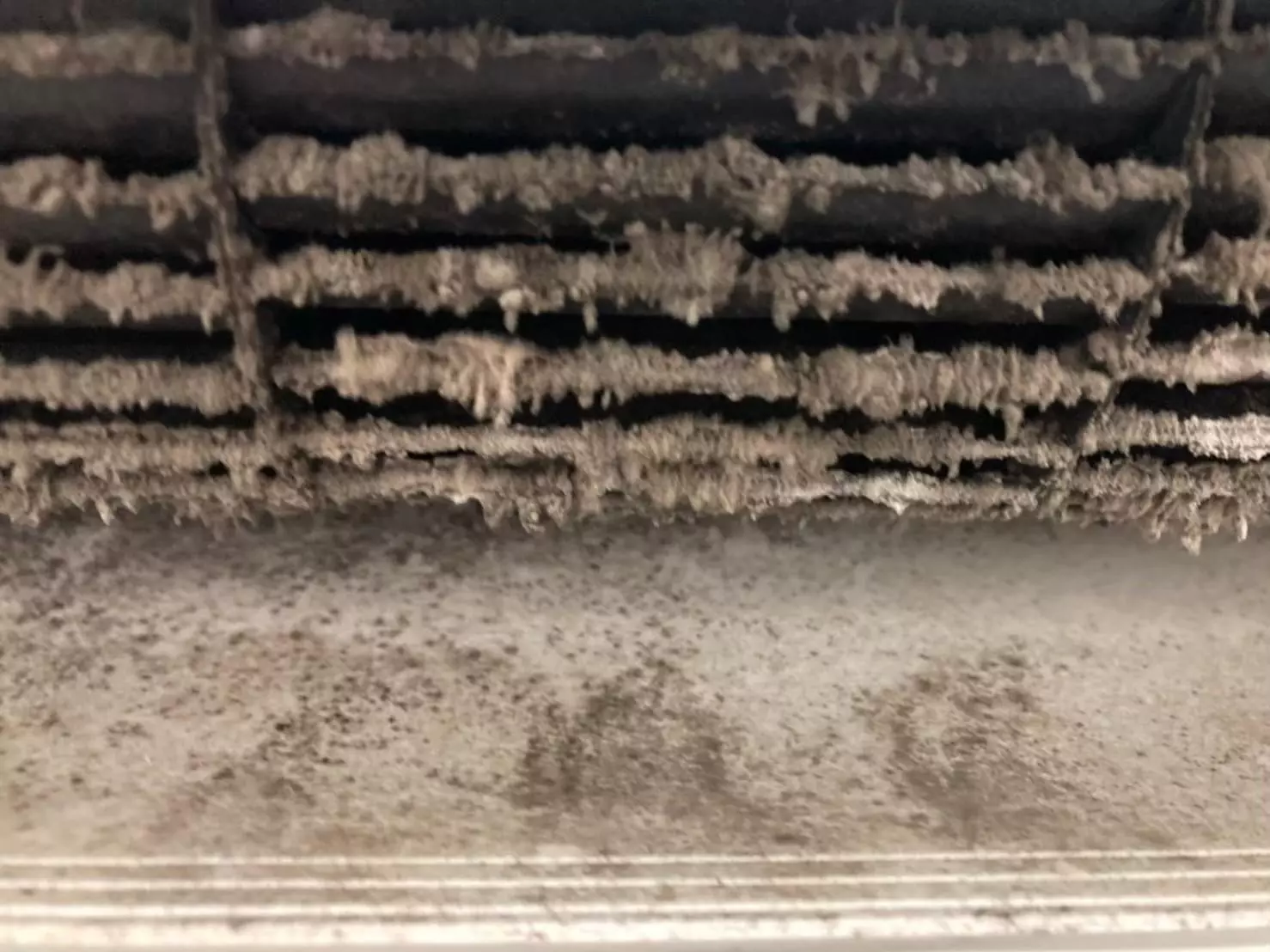 中正區冷氣清洗推薦哪間？中正區洗冷氣該注意什麼？洗洋洋居家清潔統整了挑選中正區洗冷氣、中正區冷氣清洗的三個要點，介紹分離式、吊隱式、窗型冷氣的清洗步驟，並解答中正區洗冷氣常見問題。