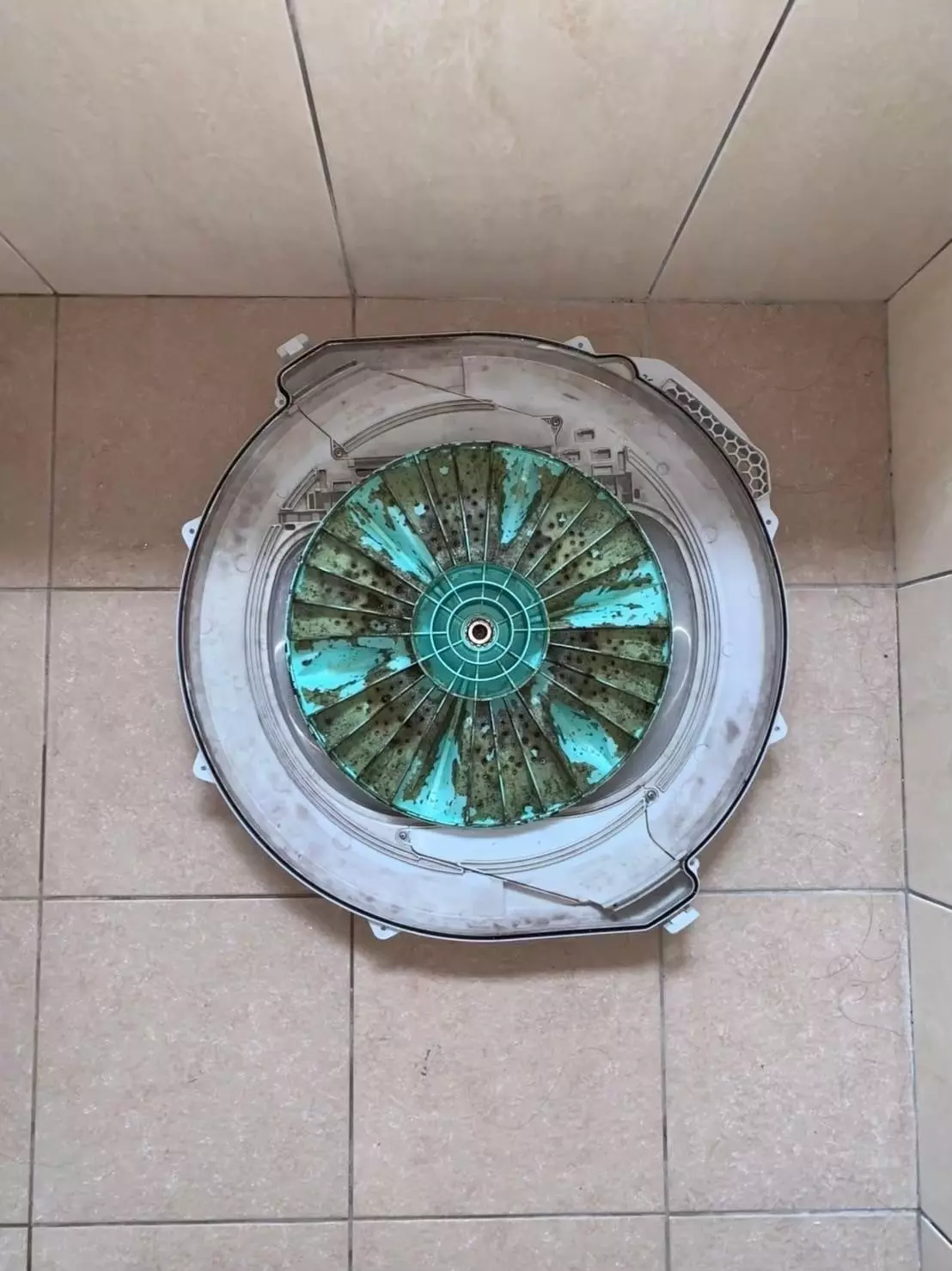 新北市洗衣機清洗是維持清潔重要步驟，洗洋洋專業團隊提供深層拆解與高溫消毒，徹底清除污垢與霉菌，尤其住在潮濕多雨的新北市，定期洗衣機清洗，不僅讓衣服清潔更乾淨，還能守護家人健康！