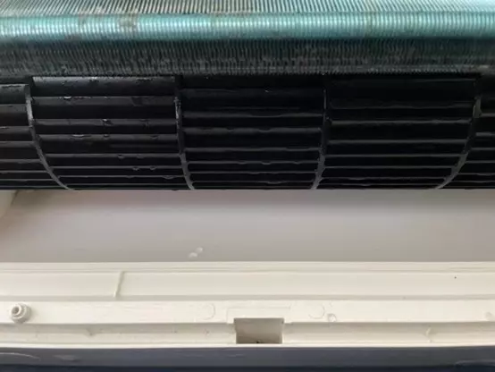 洗洋洋清洗公司在新店的冷氣清潔市場中擁有顯著的優勢與特點，成為許多居民與商家信賴的選擇。洗洋洋提供優惠且透明的洗冷氣價格，讓客戶能夠以合理的費用享受到高品質的清潔服務。