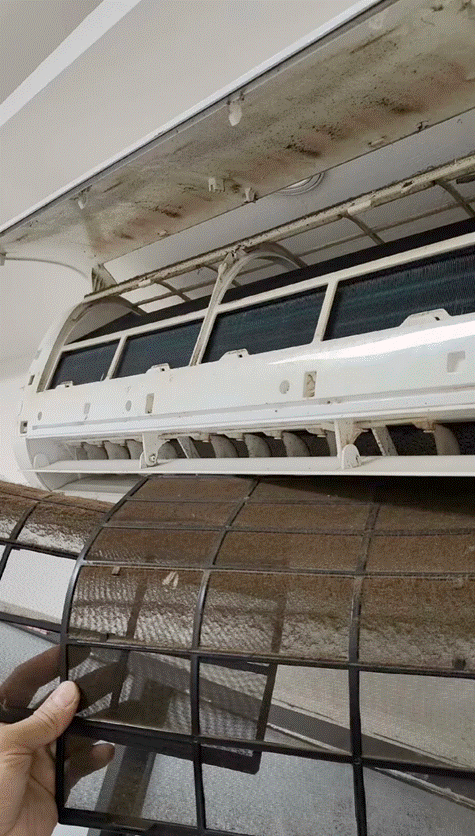 濾網洗到泛白還是有股黴味，半夜滴滴答答的漏水聲更是讓人抓狂……別再掙扎了！今天必須給你們扒透一個真相：洗洋洋專業級的聲寶冷氣清洗才是破解所有問題的金鑰匙！ 