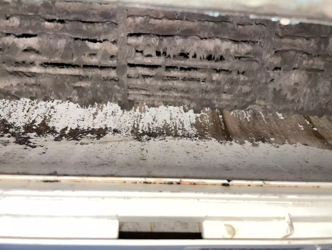 像是風管、冷排這些位置如果長期處在潮濕的環境，加上空氣中的灰塵、濕氣，就很容易讓黴菌慢慢長出來。等你下次開冷氣時，這些霉菌味就會被吹出來，一整間房間聞起來都濕濕悶悶的。