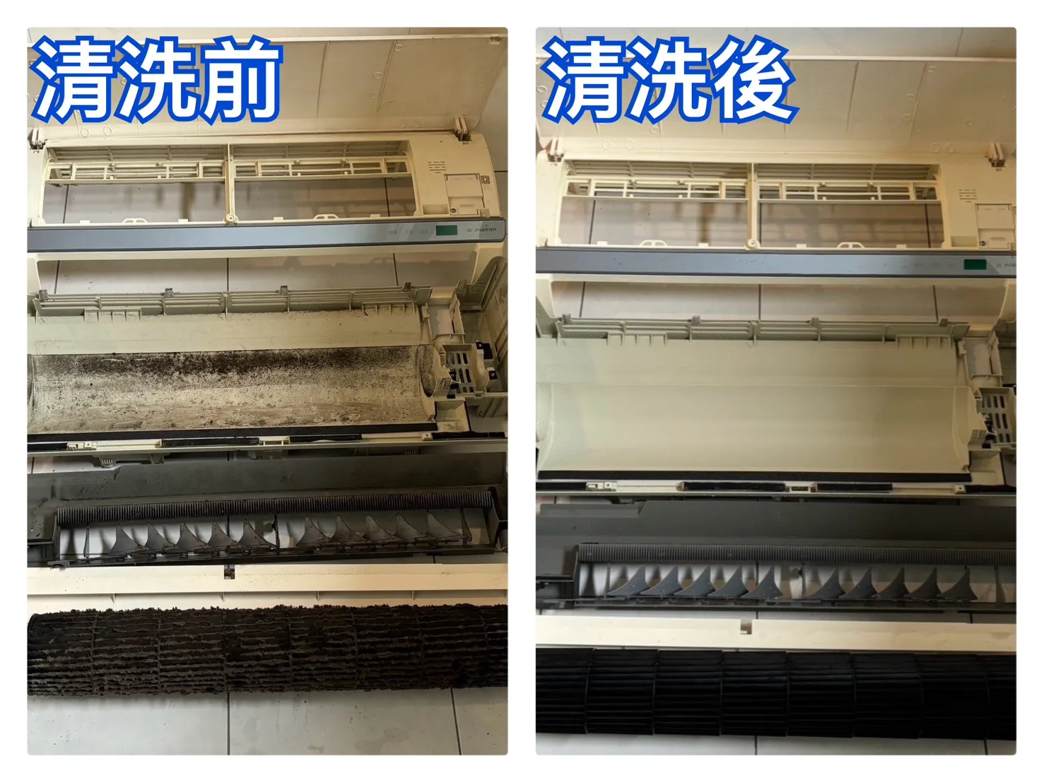直接從根源清除霉菌與積水,讓冷氣吹出來的風更清新。